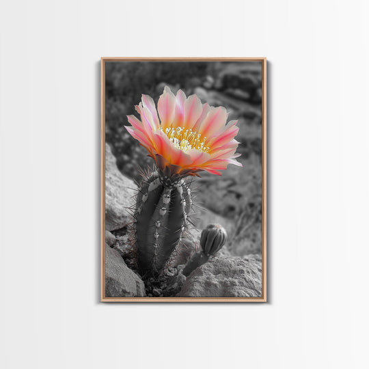 Blooming cactus, botanical print, desert flora, framed canvas print, nature decor, succulent wall art, pink flowers, southwest painting