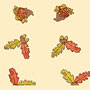 Cello Rolls Various Patterns &amp; Colors