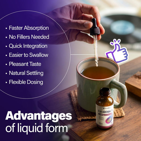 Urolithin A Supplement 2800 mg Liquid Drops | with Trans-Resveratrol, Collagen Peptides, Pomegranate Extract, Hyaluronic Acid, Vitamin E &amp; C