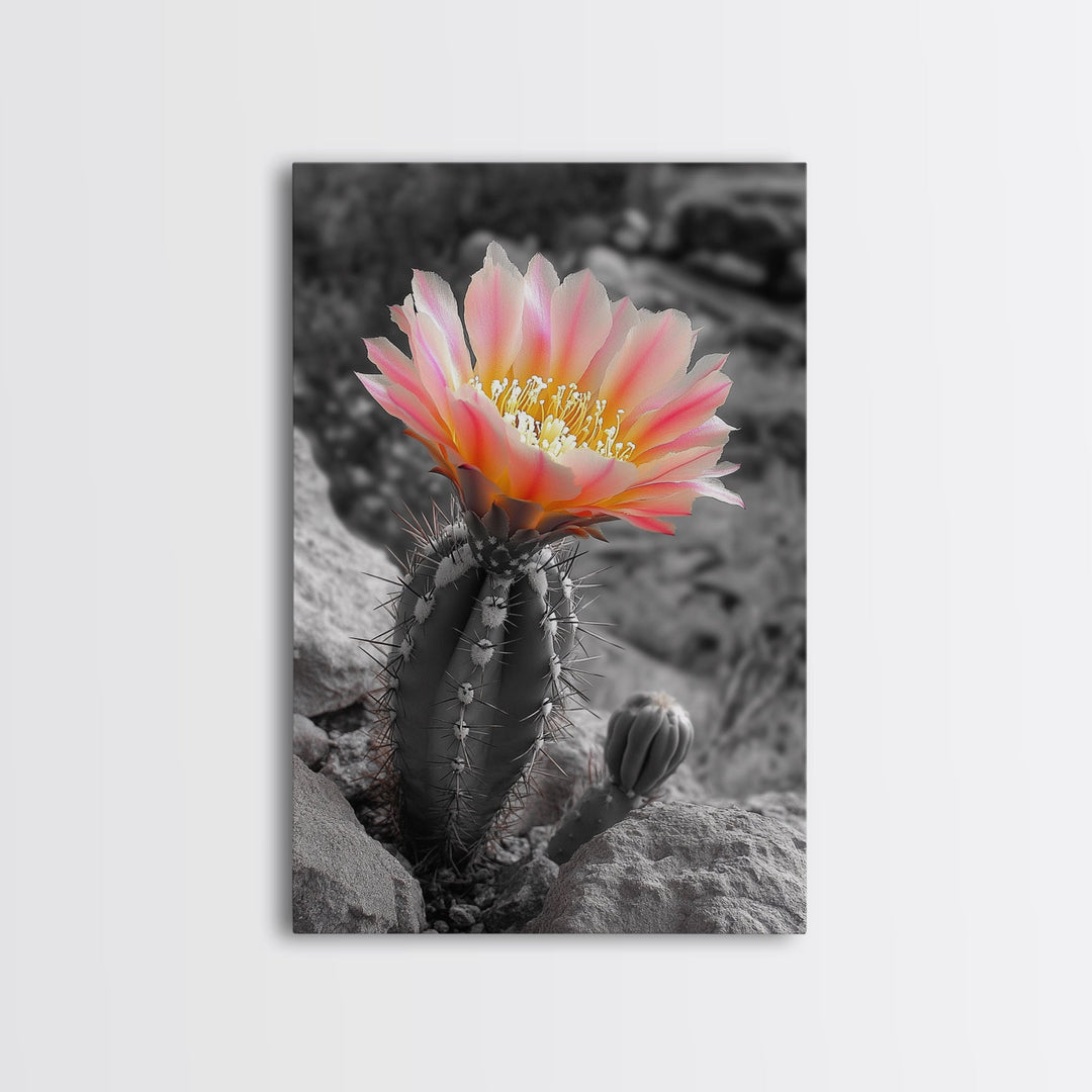 Blooming cactus, botanical print, desert flora, framed canvas print, nature decor, succulent wall art, pink flowers, southwest painting