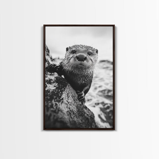 Curious Otter, Coastal Wildlife, Black and White, Animal Photography, Framed Canvas Print, Bathroom Wall Art, Nature Lover Gift