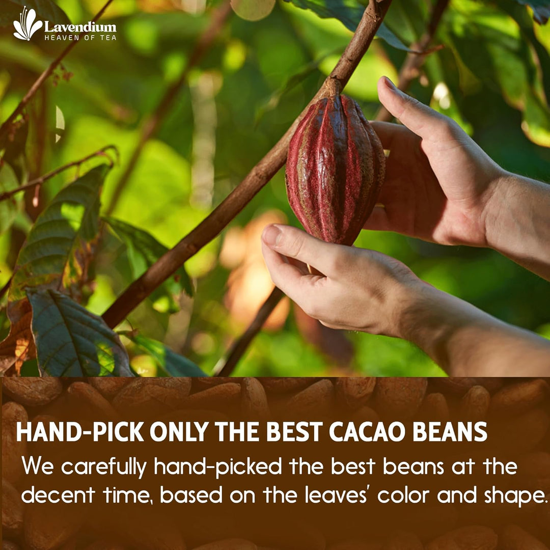 Cacao Powder, 25oz (1.56 lbs), 100% Natural &amp; Pure, Unsweetened, Rich Chocolate Flavor, Perfect for Baking &amp; Smoothies