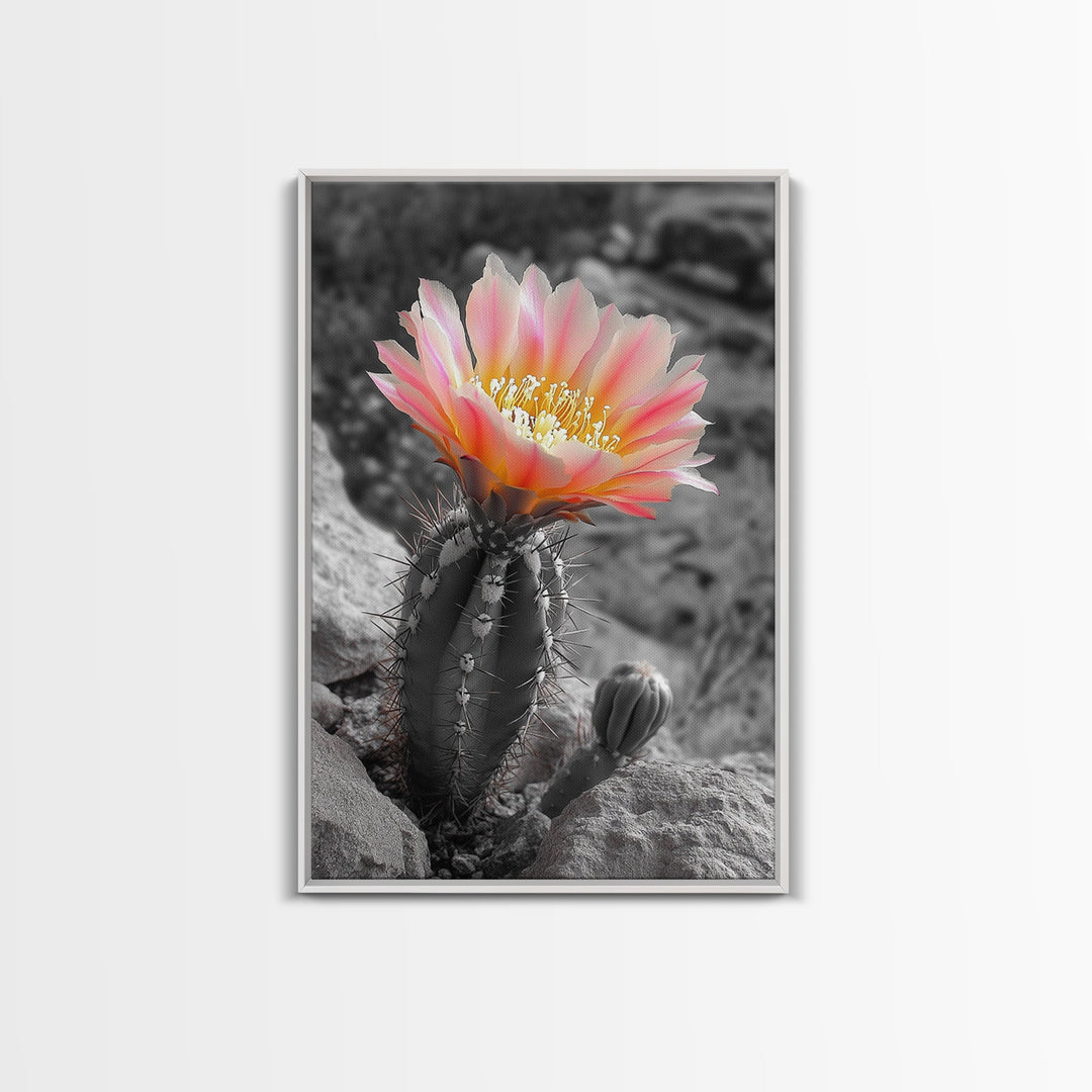 Blooming cactus, botanical print, desert flora, framed canvas print, nature decor, succulent wall art, pink flowers, southwest painting