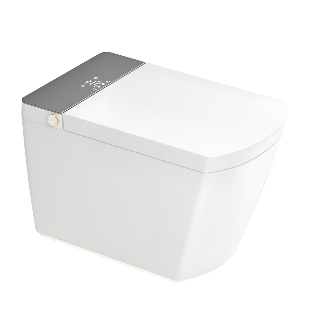 Modern Integrated Smart Toilet