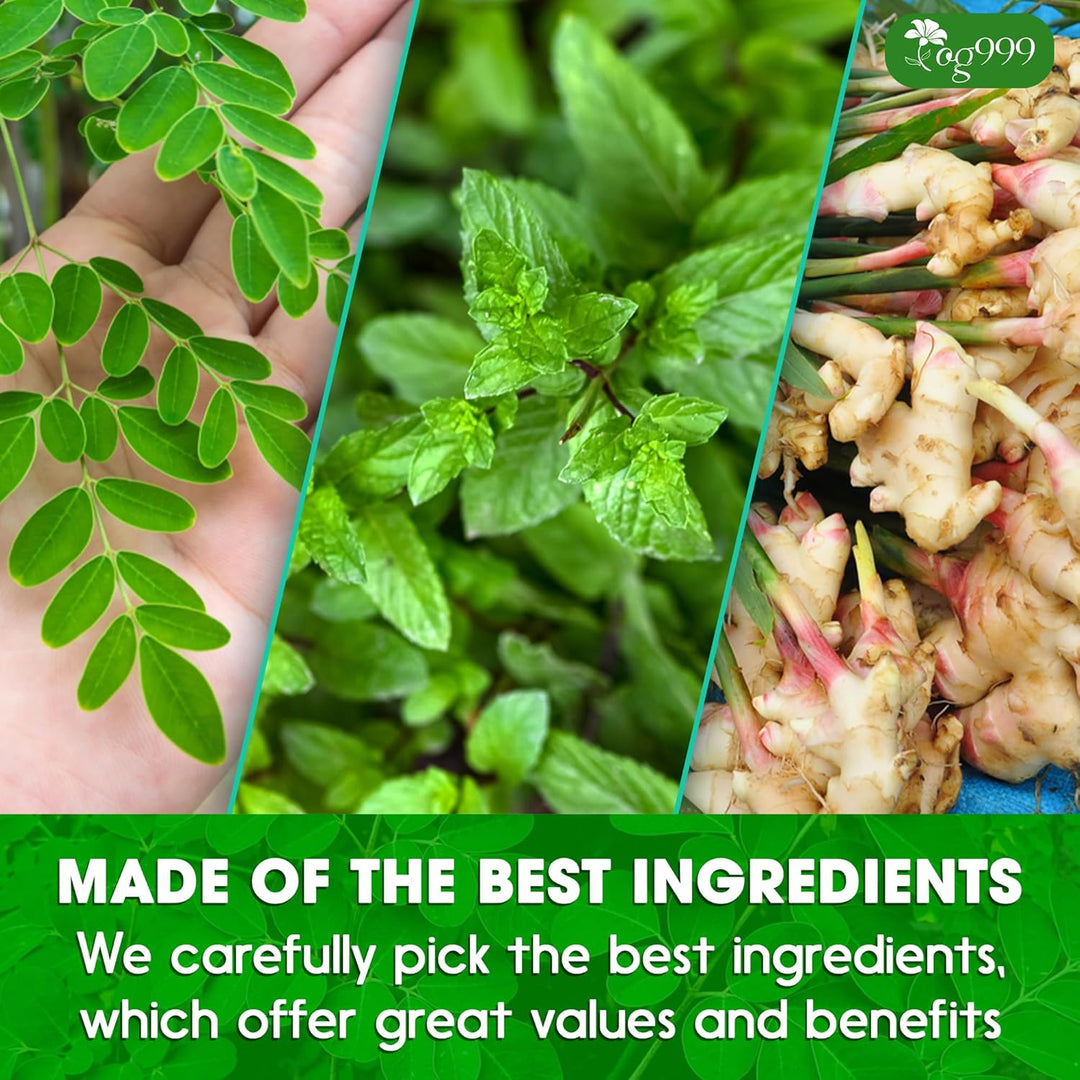 Super Moringa Herbal Tea, Improve Digestion, Support Brain, Weight, Skin and Sleep, Eco-Conscious Tea Bags