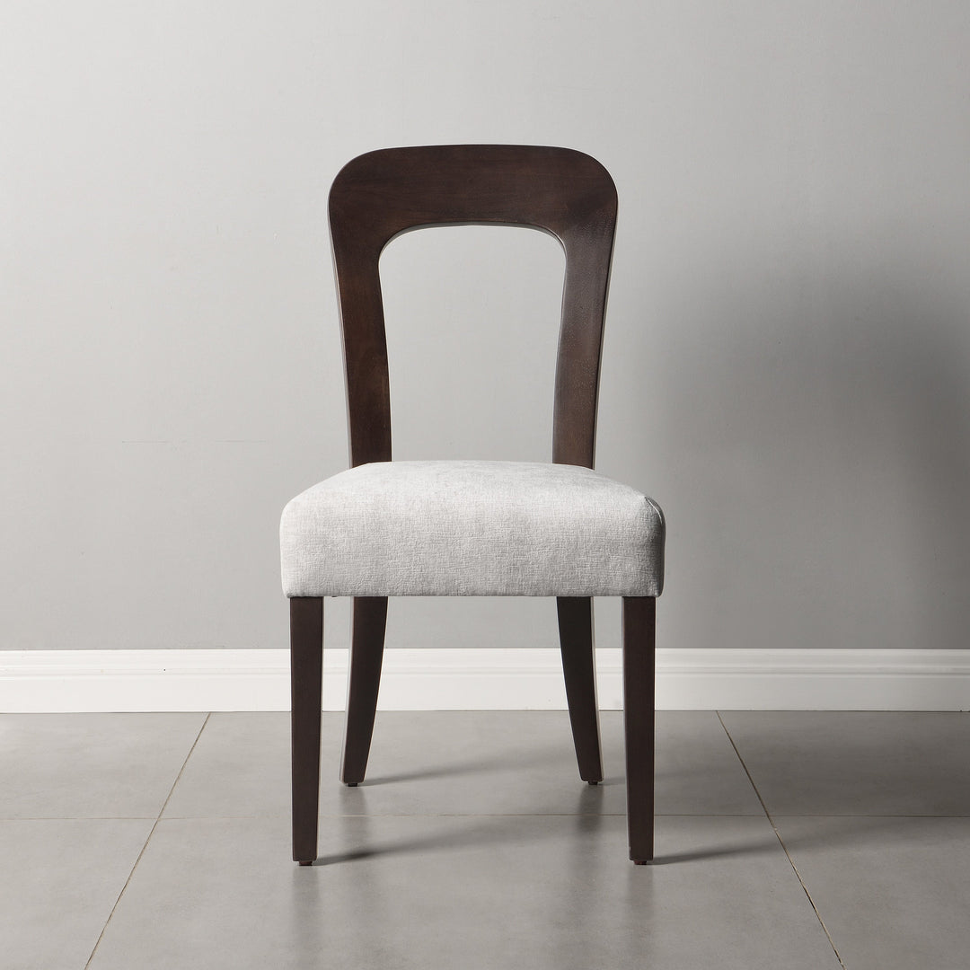 Dining Chairs Set of 2, Upholstered Kitchen Side Chairs