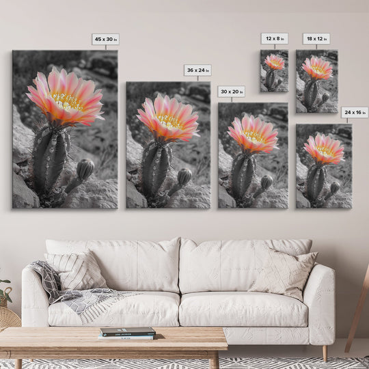 Blooming cactus, botanical print, desert flora, framed canvas print, nature decor, succulent wall art, pink flowers, southwest painting