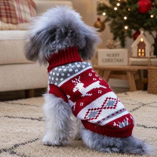 Christmas Reindeer Sweater for Small Dogs &amp; Cats