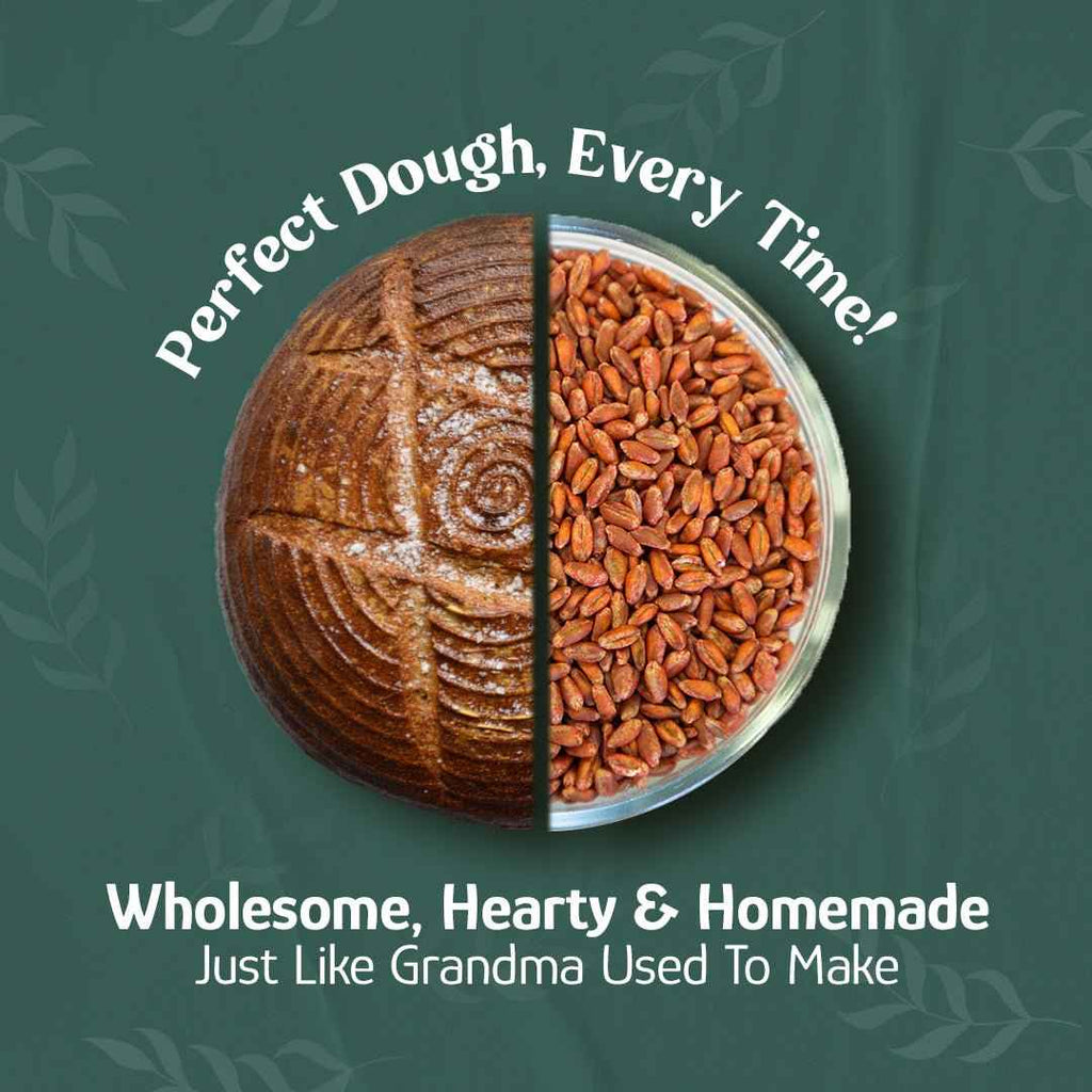 Wheat Berries, Bronze Chief (Red), Certified Glyphosate Free