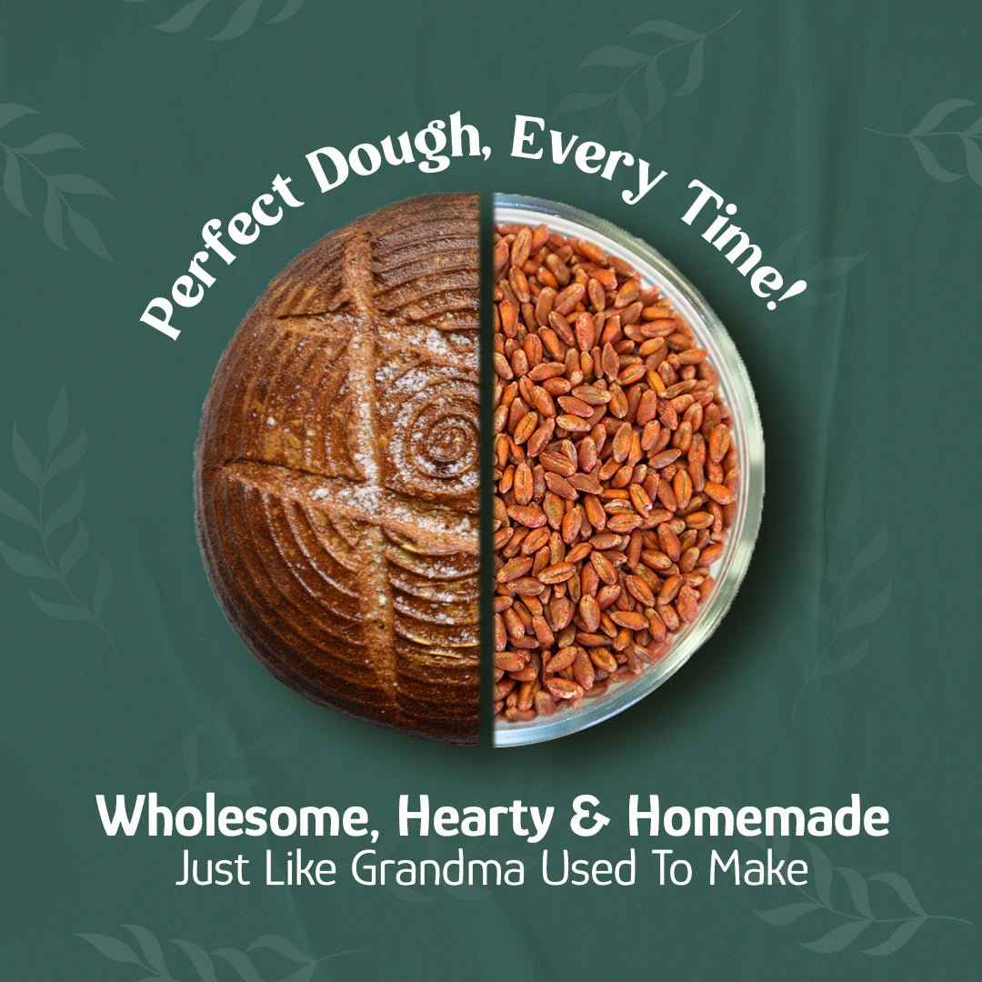 Wheat Berries, Bronze Chief (Red), Certified Glyphosate Free