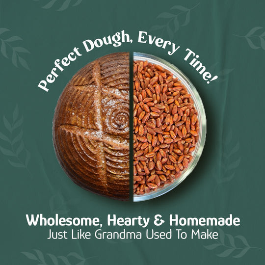 Wheat Berries, Bronze Chief (Red), Certified Glyphosate Free