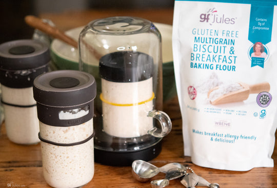 gfJules Gluten Free Corn-Free Multigrain Biscuit &amp; Breakfast Baking Flour