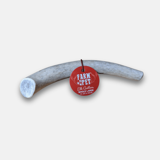 Elk Antler Dog Chews | All-Natural Whole and Split Elk Antler Chews for Dogs