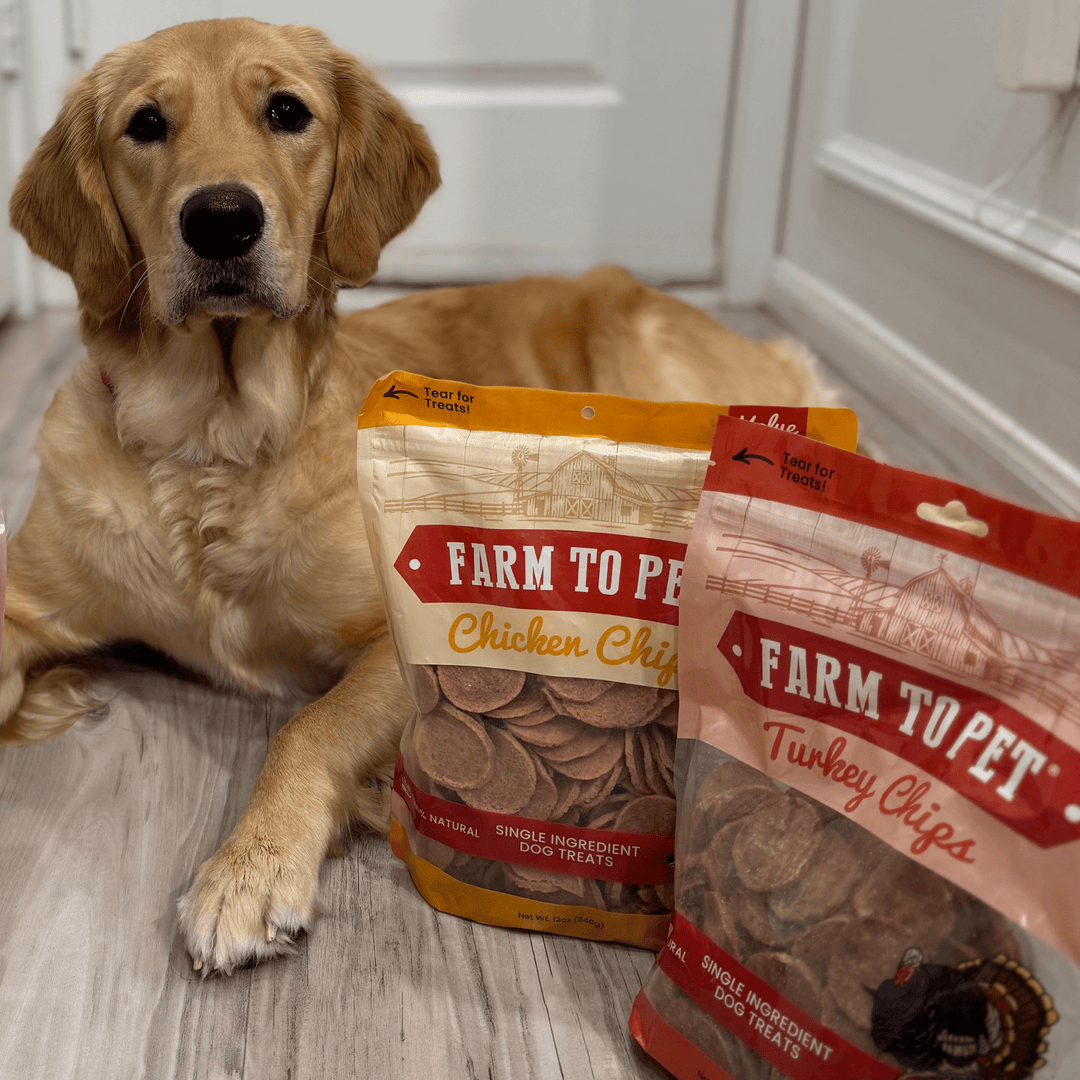 Turkey &amp; Chicken Chip Dog Treat Duo | Single-Ingredient Poultry Treats for Dogs