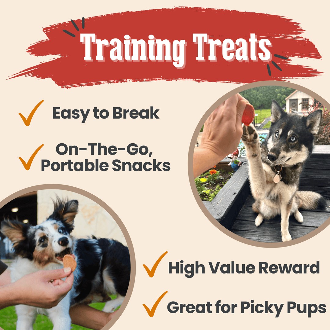 Turkey &amp; Chicken Chip Dog Treat Duo | Single-Ingredient Poultry Treats for Dogs