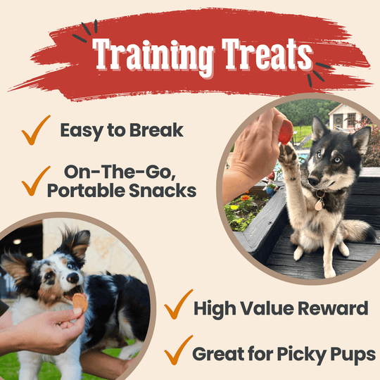 Turkey &amp; Chicken Chip Dog Treat Duo | Single-Ingredient Poultry Treats for Dogs