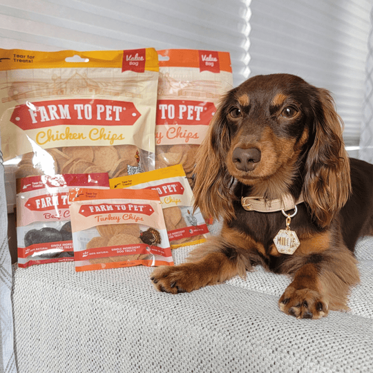 Turkey &amp; Chicken Chip Dog Treat Duo | Single-Ingredient Poultry Treats for Dogs