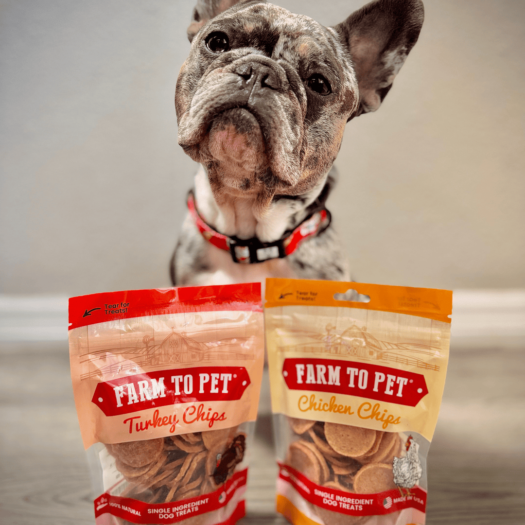 Turkey &amp; Chicken Chip Dog Treat Duo | Single-Ingredient Poultry Treats for Dogs