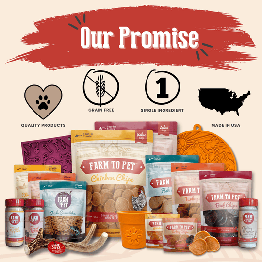 Turkey &amp; Chicken Chip Dog Treat Duo | Single-Ingredient Poultry Treats for Dogs