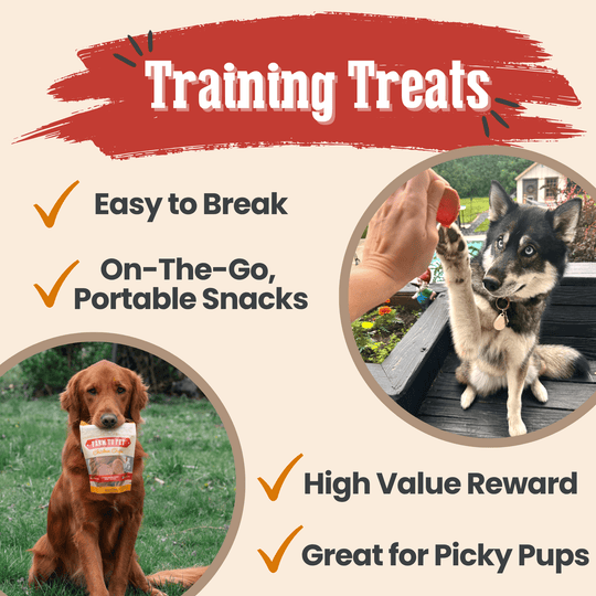 Turkey &amp; Chicken Chip Dog Treat Duo | Single-Ingredient Poultry Treats for Dogs