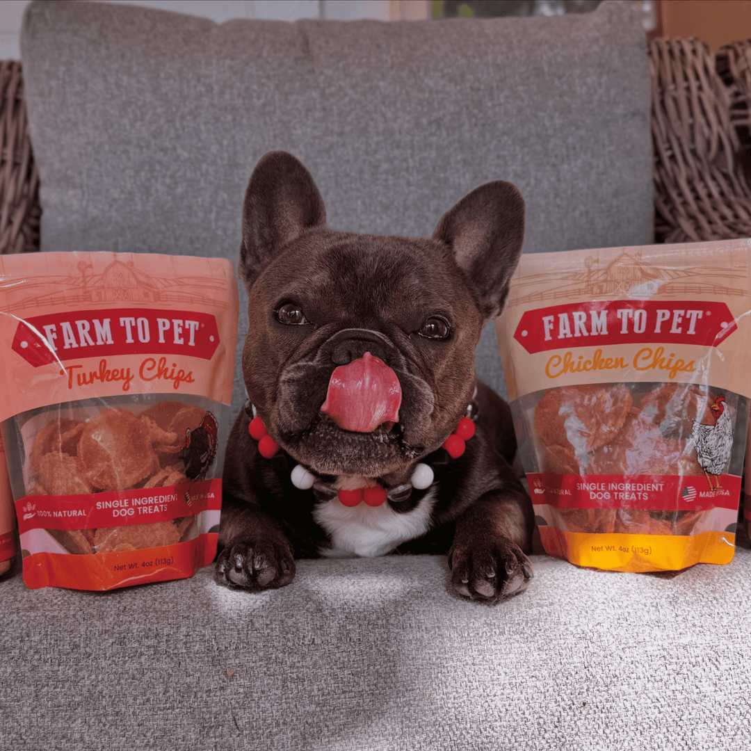 Turkey &amp; Chicken Chip Dog Treat Duo | Single-Ingredient Poultry Treats for Dogs