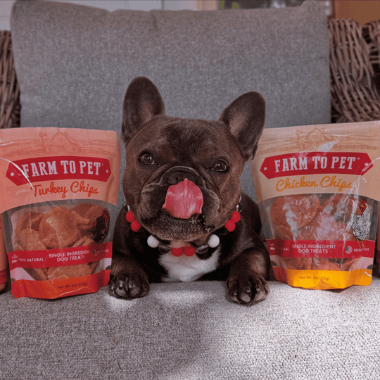 Turkey &amp; Chicken Chip Dog Treat Duo | Single-Ingredient Poultry Treats for Dogs