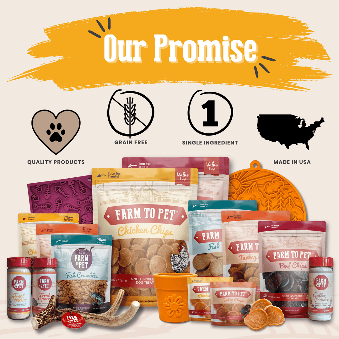 Chicken &amp; Turkey Dog Food Topper Bundle