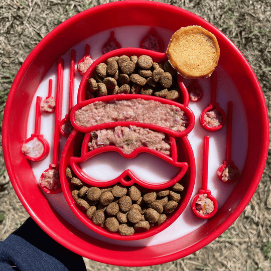 Slow Feeder Dog Bowls