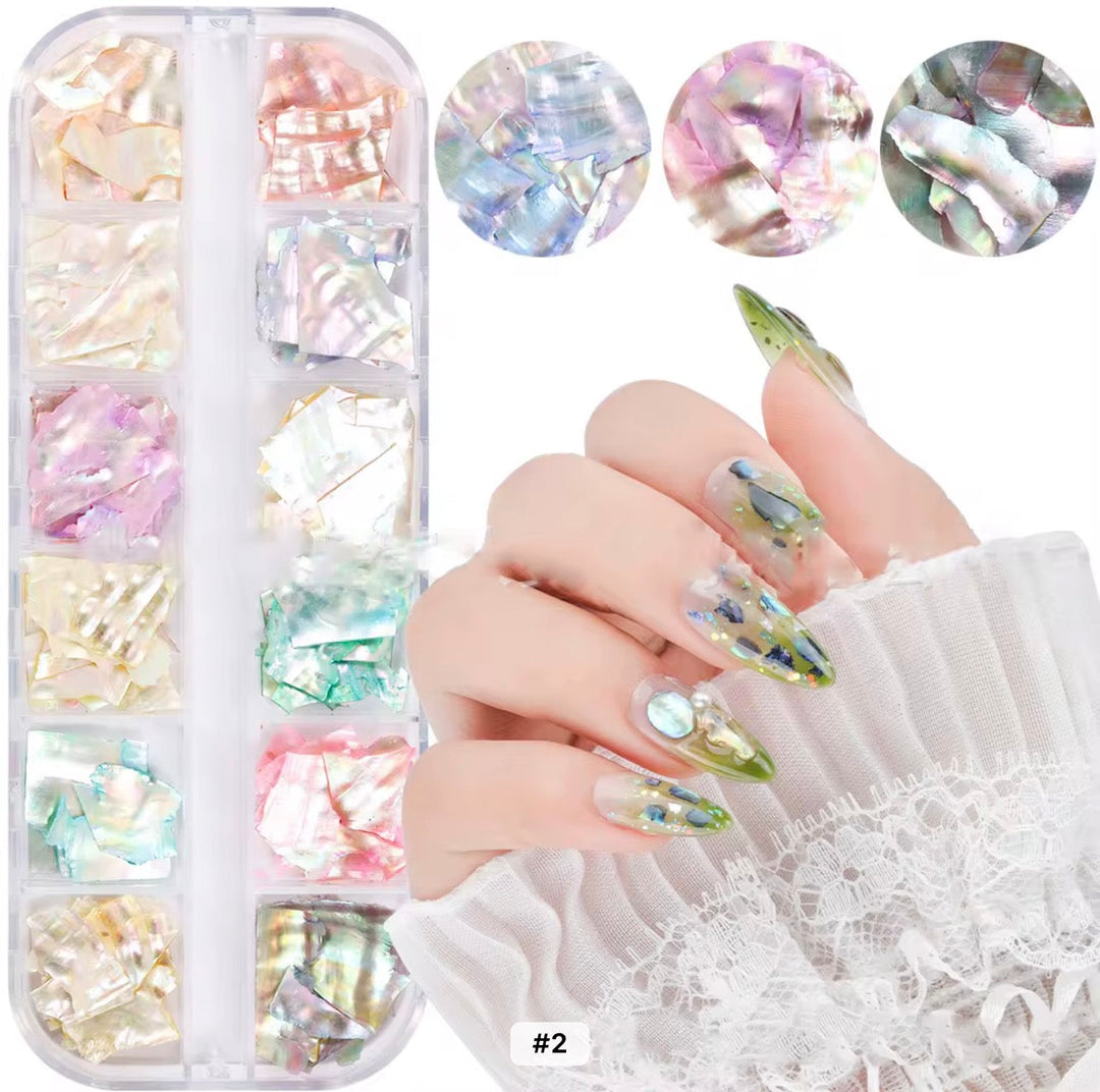 12 Colors  Irregular  Slices Sea Shell 