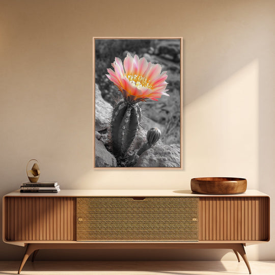 Blooming cactus, botanical print, desert flora, framed canvas print, nature decor, succulent wall art, pink flowers, southwest painting