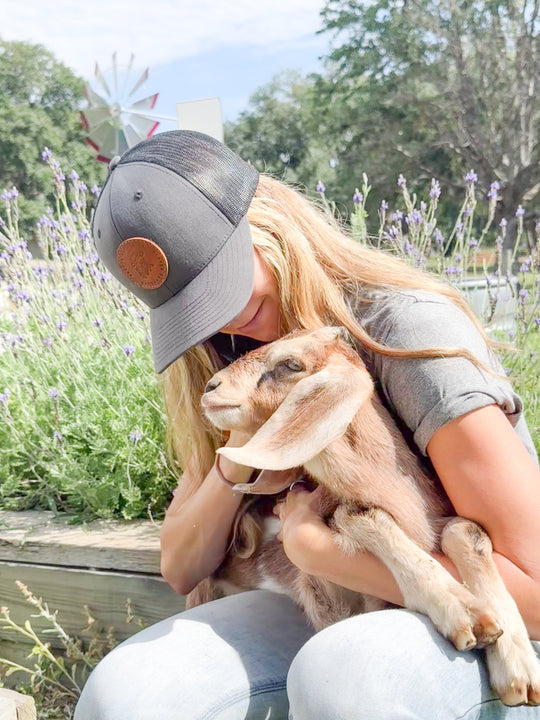 Farmhouse Artisan Goat Milk &amp; Tallow Soap Collection
