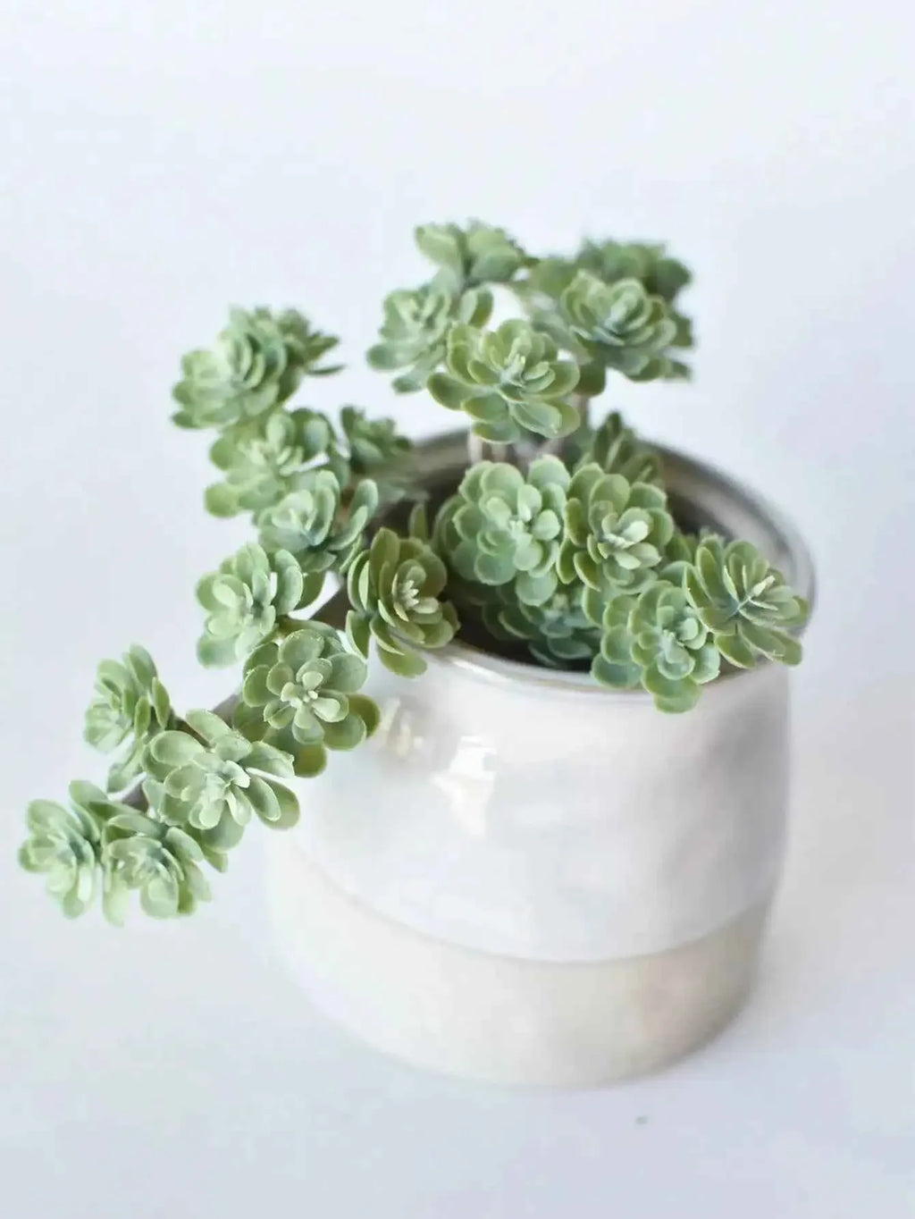 Faux Green Sedum Succulent Pick Plastic Aritificial Encrinite Succulent Spring Plants Home Decor Office Plant Landscaping