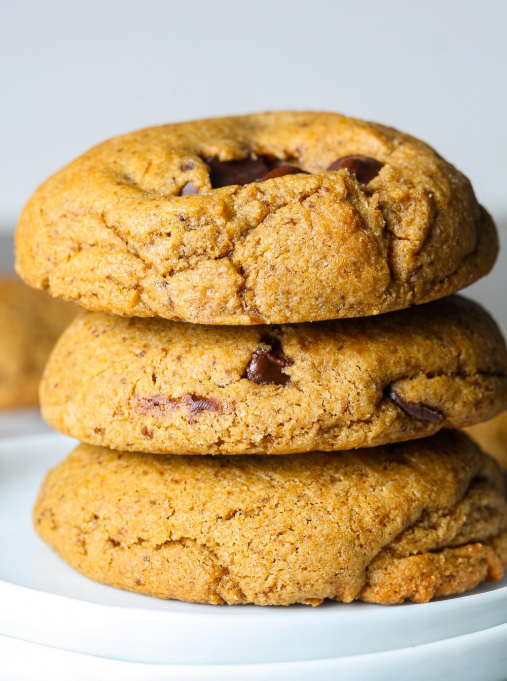 Creatine Chocolate Chip Cookie