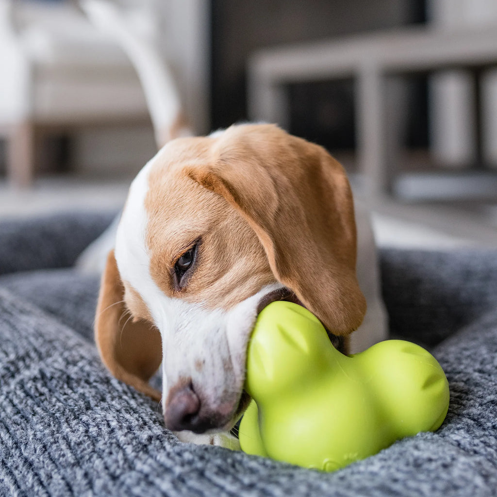 Tux - The Ultimate Tough Chew Toy for Your Pup
