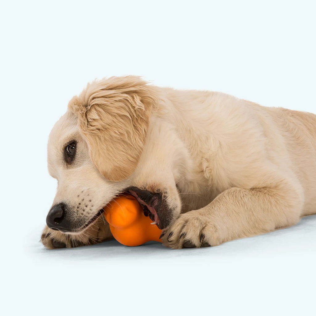 Tux - The Ultimate Tough Chew Toy for Your Pup